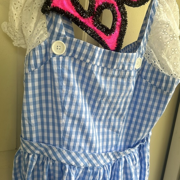 COSPLAY!!  WICKED!!  Dorothy dress/ALICE/ Wizard Of Oz Dress EUC  Sz L/ XL~~ - Picture 4 of 15